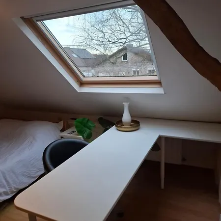 Lerrekens *