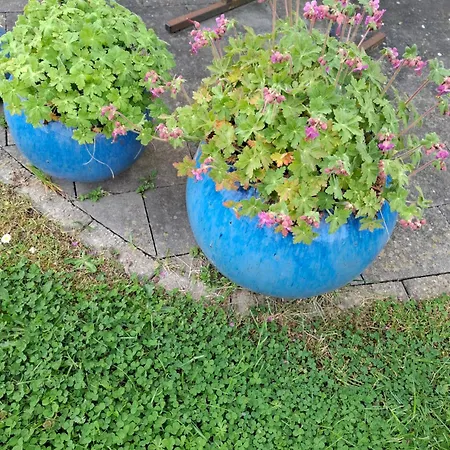 Lerrekens *